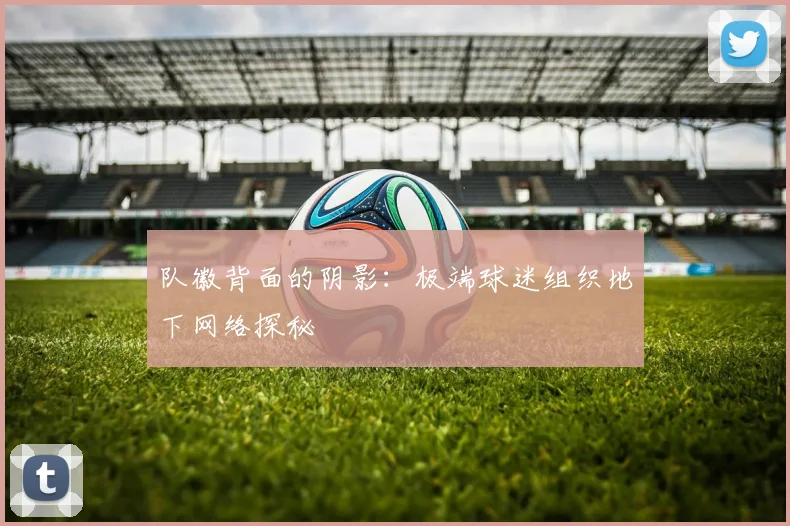 队徽背面的阴影：极端球迷组织地下网络探秘