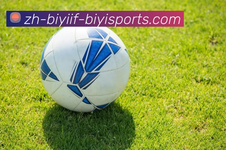 必一体育官方网站APP 体育赛事宣传图